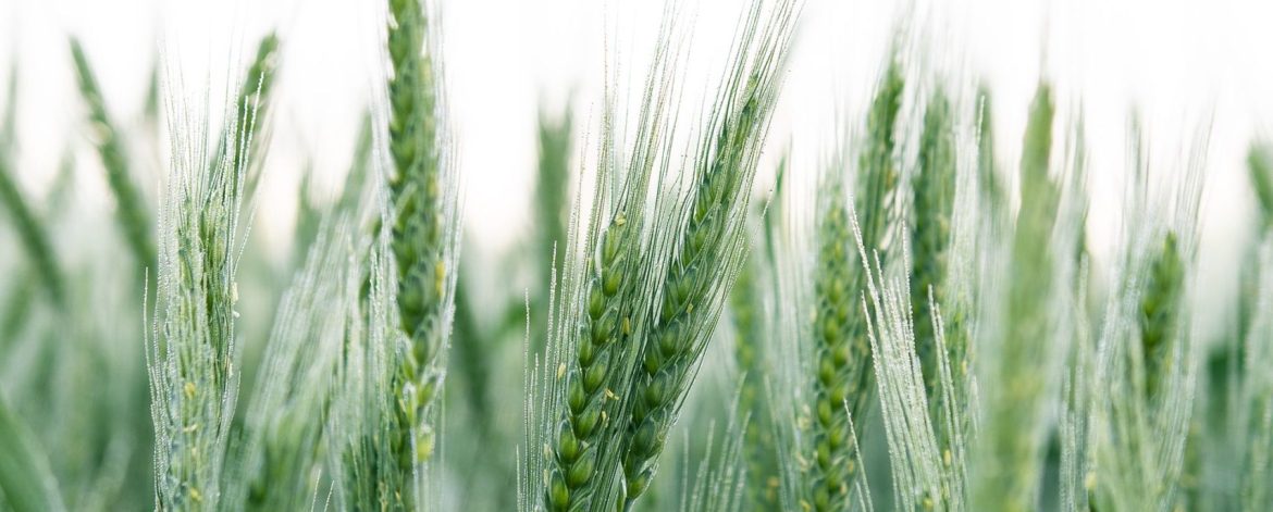 kristaps-ungurs-CDjqENI2XZE-unsplash.jpg kristaps-ungurs-CDjqENI2XZE-unsplash.jpg